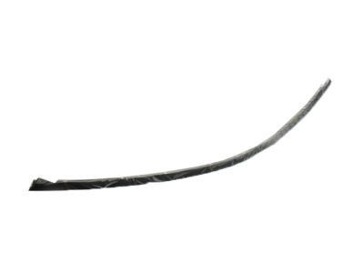 2005 Chevy Monte Carlo Door Moldings - 10321350