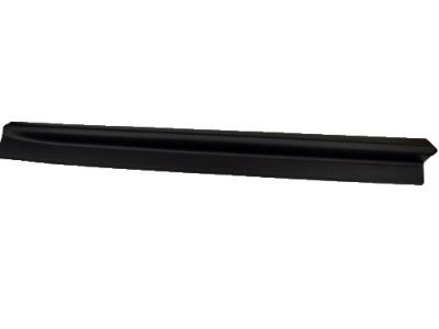 Chevy 25824825 Lower Molding