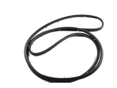 Chevy 23282071 Door Weatherstrip