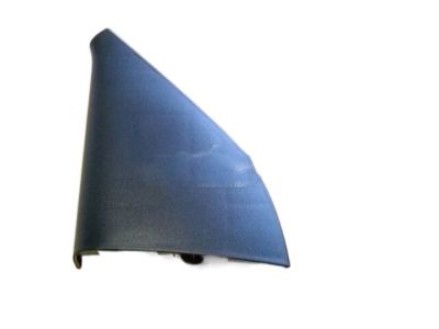 Chevy Aveo Mirror Cover - 96468951