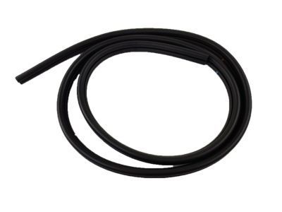 GM 22623348 Door Weatherstrip