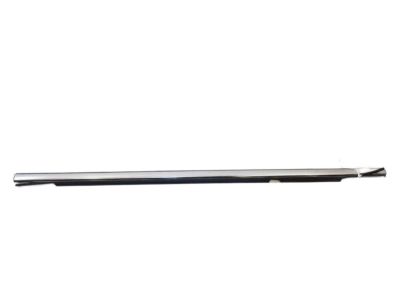 Cadillac Door Moldings - 23227745