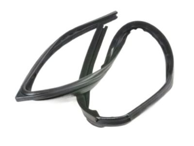 Chevy Uplander Weather Strip - 10294036