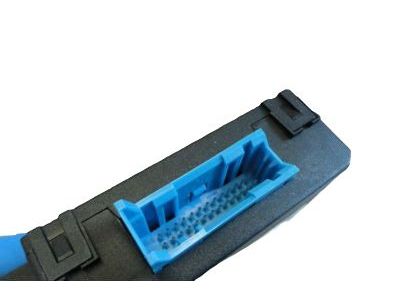 GM 10333593 Module