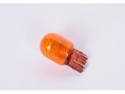 Buick 13579188 Parking Lamp Bulb