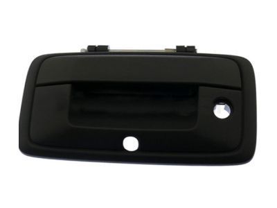 Chevy Silverado 3500 HD Tailgate Handle - 84203910