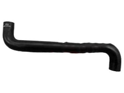 Chevy 10359363 Lower Hose