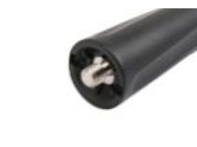 Chevy 20958556 Antenna Mast