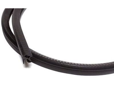 GM 22614342 Weatherstrip On Body, Passenger Side