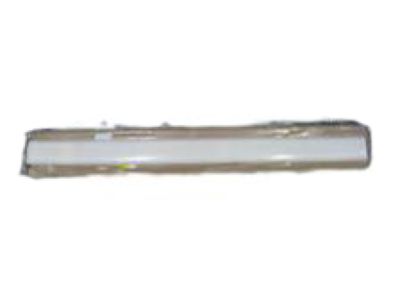 2004 Chevy Tracker Door Moldings - 30022984
