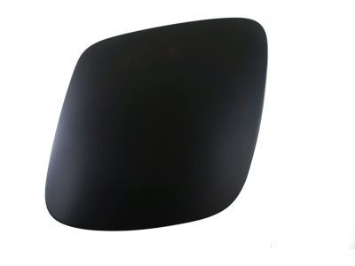 GM 10319954 Headlamp Door, Driver Side