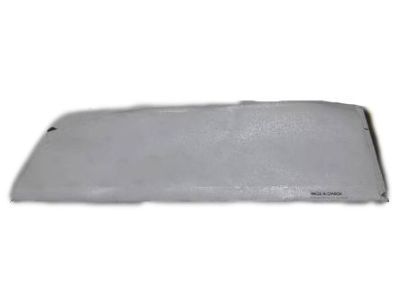 GM 92232022 Protector