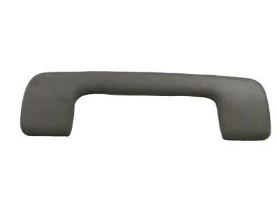 GM 20826120 Grip Handle, Titanium, Rear