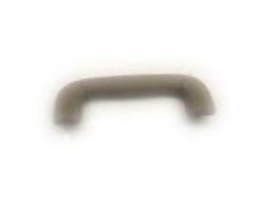 GM 20826120 Grip Handle, Titanium, Rear
