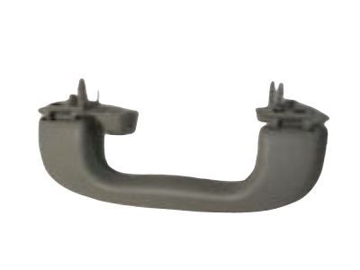 GM 20826120 Grip Handle, Titanium, Rear