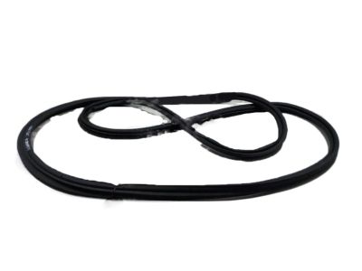 Cadillac Weather Strip - 20909102