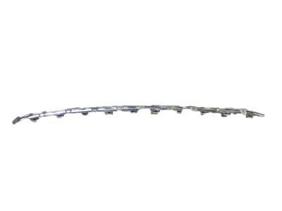 GM 94544842 Lower Molding