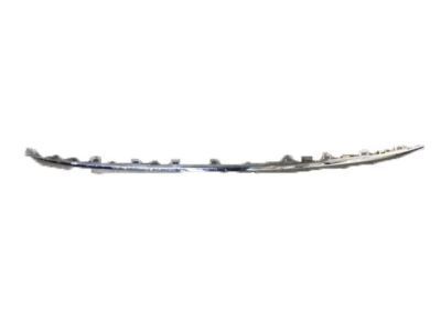 GM 94544842 Lower Molding