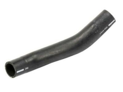 Cadillac DTS Radiator Hose - 21999765