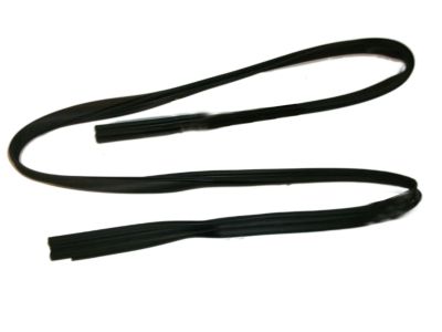 1994 Saturn SC2 Door Seal - 21096820