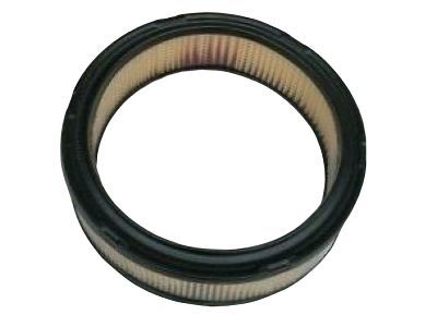 GM 25043317 Air Filter