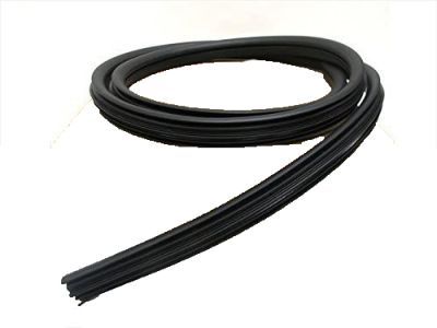 GM 89039905 Door Weatherstrip