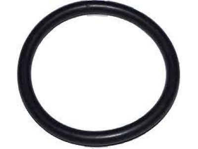 Buick 15282801 Air Mass Sensor O-Ring