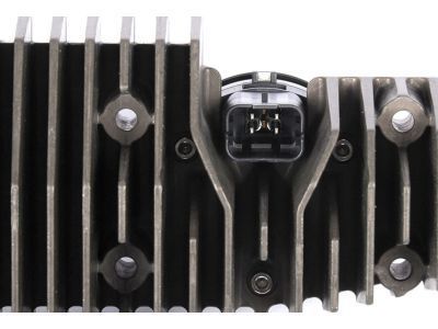 GM 22783822 Exterior Bulbs, Passenger Side