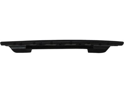GM 15720781 Step Pad, Rear