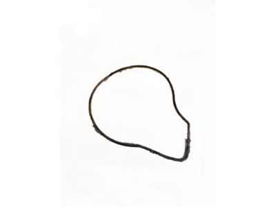 Chevy Equinox Water Pump Gasket - 24446365