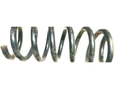 Saturn Coil Springs - 10306378