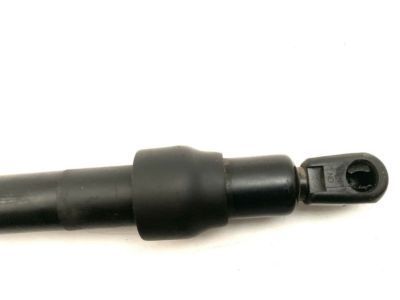 GM 10175784 Lift Cylinder
