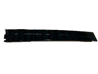 GM 21172099 Applique, Front Driver Side