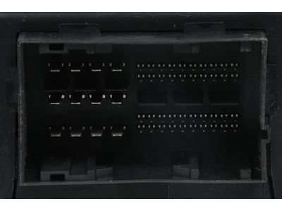 GM 19119308 Body Control Module
