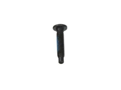GM 11562052 Rail Support Bolt, Black; Silver