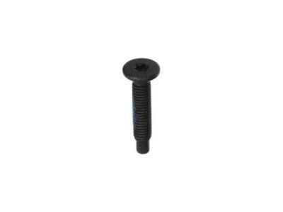 GM 11562052 Rail Support Bolt, Black; Silver