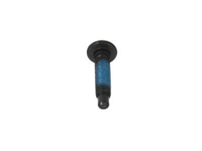 GM 11562052 Rail Support Bolt, Black; Silver