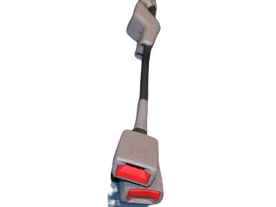 GM 12384122 Lap Belt, Front Passenger Side
