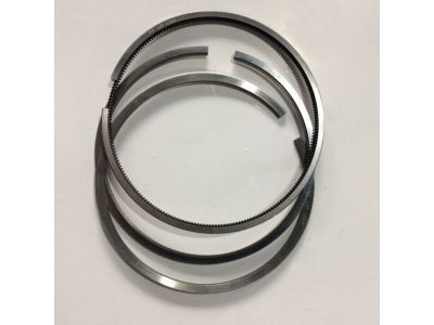 Chevy Trailblazer Piston Ring - 19178307