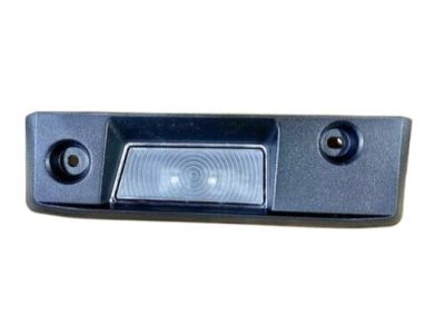 GM 84238354 Cargo Lamp, Driver Side