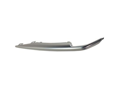 Cadillac 23445442 Lower Molding