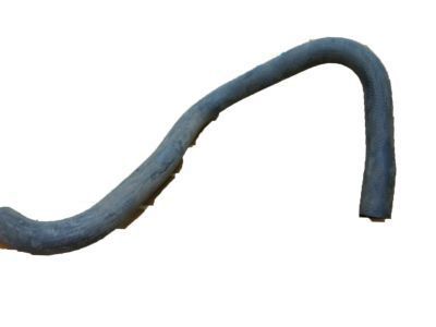 GM 15598395 Lower Hose