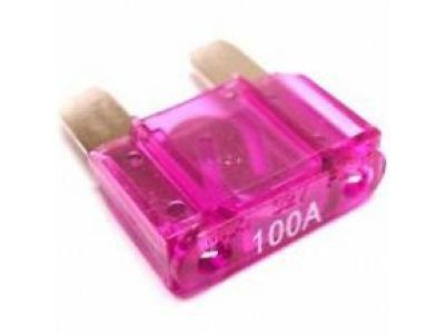 GM 22925595 Maxi Fuse