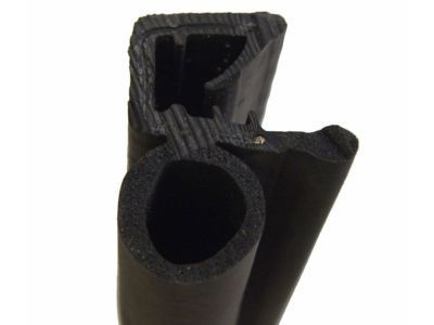 GM 19179733 Door Weatherstrip, Front