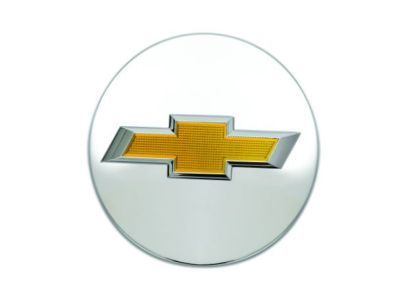 GM 20942002 Center Cap, Gold; Silver