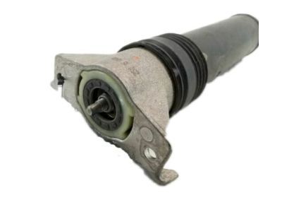 GM 23343374 Shock Absorber, Rear Upper
