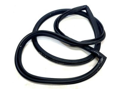Chevy Celebrity Weather Strip - 10281491