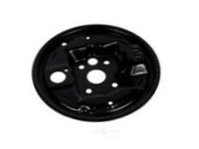 GM 19181926 Backing Plate, Driver Side