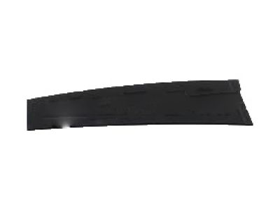GM 84258760 Applique, Rear Driver Side