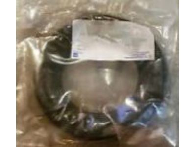 Pontiac Coil Springs - 22077147